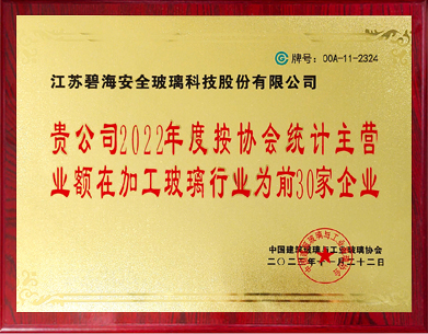 在加工玻璃行业为前30家企业