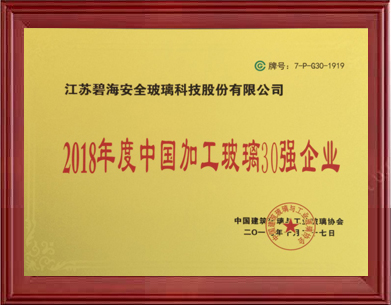 2018年度中国加工玻璃30强企业